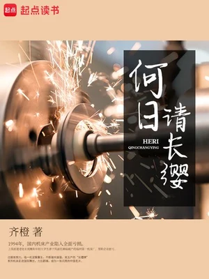何日请长缨(校对版全本) 封面
