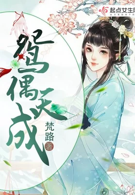 鸳偶天成（校对版全本） 封面