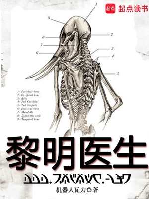 黎明医生(瘟疫医生)(校对版全本) 封面