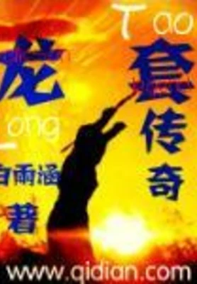 龙套传奇（校对版全本） 封面