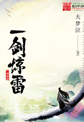 一剑惊雷 封面