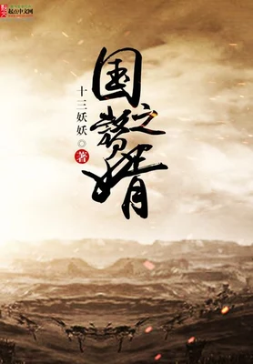 国之赘婿 封面