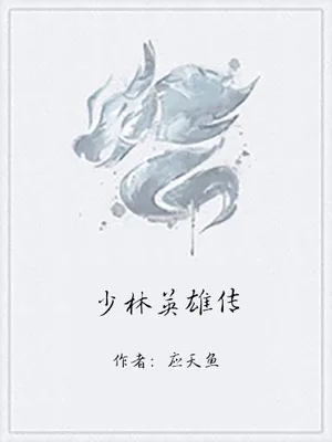 少林英雄传 封面