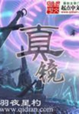 真镜 封面