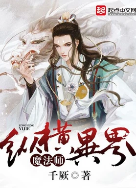 魔法师纵横异界 封面