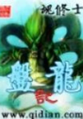 盘龙记 封面