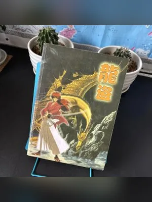龙盗 封面
