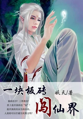 一块板砖闯仙界(校对版全本) 封面