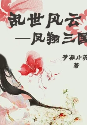 乱世风云---凤翔三国 封面