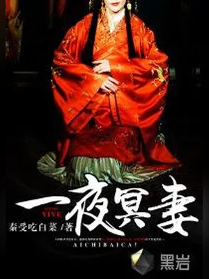 一夜冥妻(校对版全本) 封面