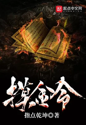 摸金令 封面