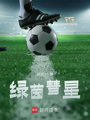 绿茵彗星 封面