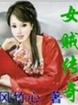 女贼传奇 封面