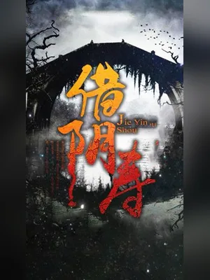 借阴寿(校对版全本) 封面