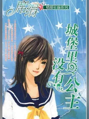 城堡里没有公主 封面