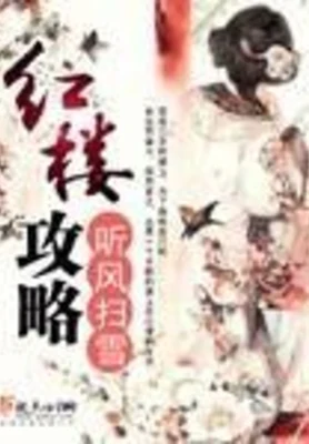 红楼攻略 封面