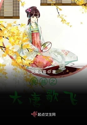 穿越之大唐歌飞 封面