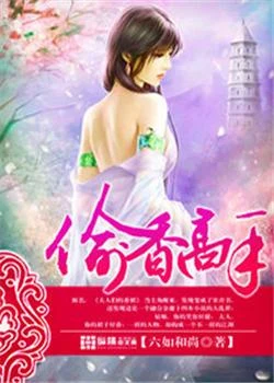 偷香高手（校对版全本） 封面