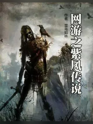 网游之紫风传说 封面