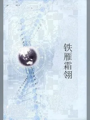 铁雁霜翎 封面