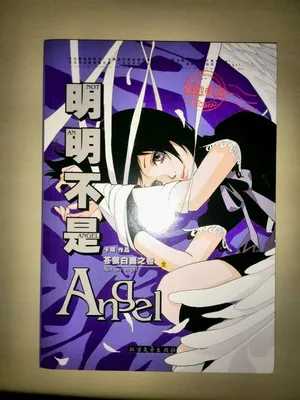 明明不是ANGEL 封面