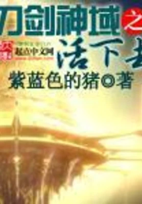 刀剑神域之活下去 封面