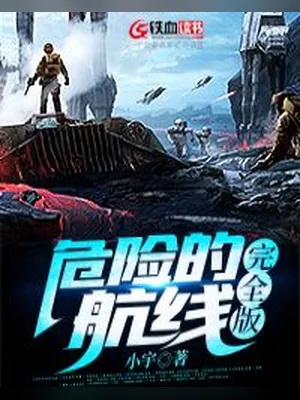 危险的航线 封面