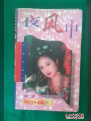 夜风中 封面