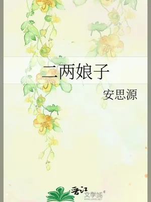 二两娘子 封面