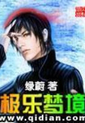 极乐梦境 封面