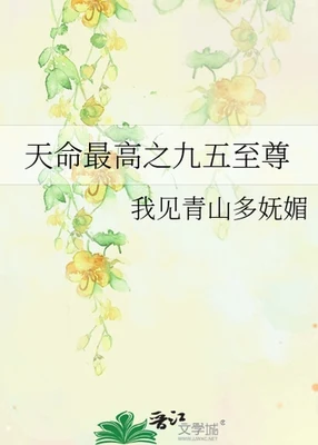 天命最高之九五至尊 封面