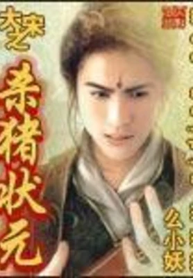 大宋之杀猪状元 封面