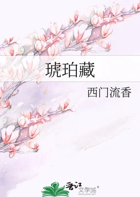 琥珀藏 封面
