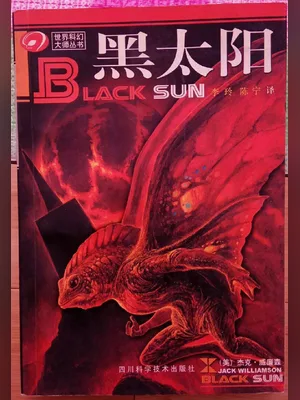 黑太阳 封面