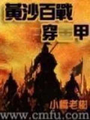 黄沙百战穿金甲 封面