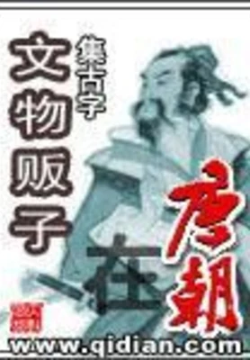 文物贩子在唐朝 封面