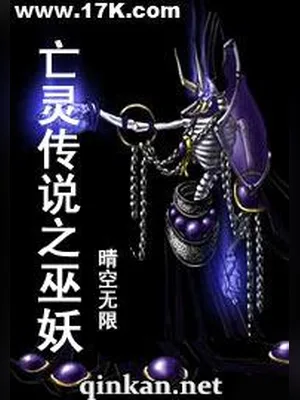 亡灵传说之巫妖 封面