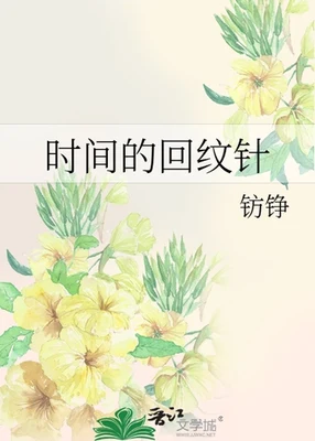 时间的回纹针 封面