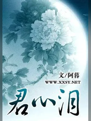 君心泪 封面