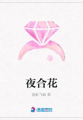 夜合花(网络版) 封面