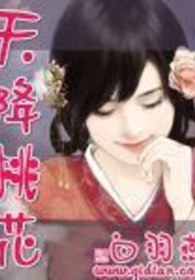 天降桃花 封面