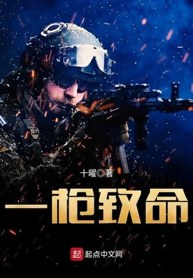 一枪致命（校对版全本） 封面