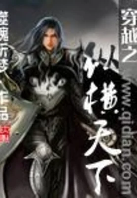 穿越之纵横天下 封面