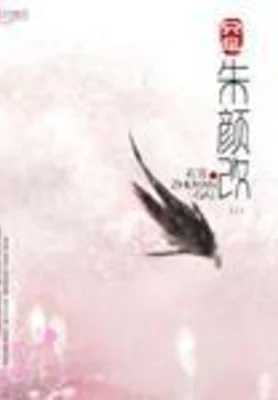 只是朱颜改 封面