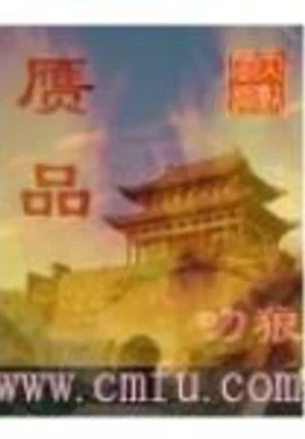 赝品 封面