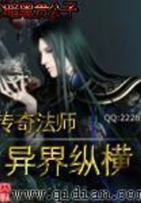 传奇法师异界纵横 封面