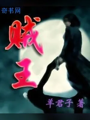 贼王 封面
