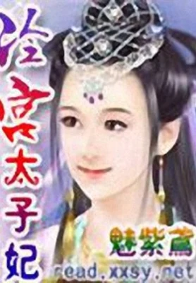 冷宫太子妃 封面