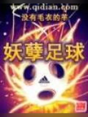 妖孽足球 封面