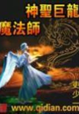 神圣巨龙魔法师 封面